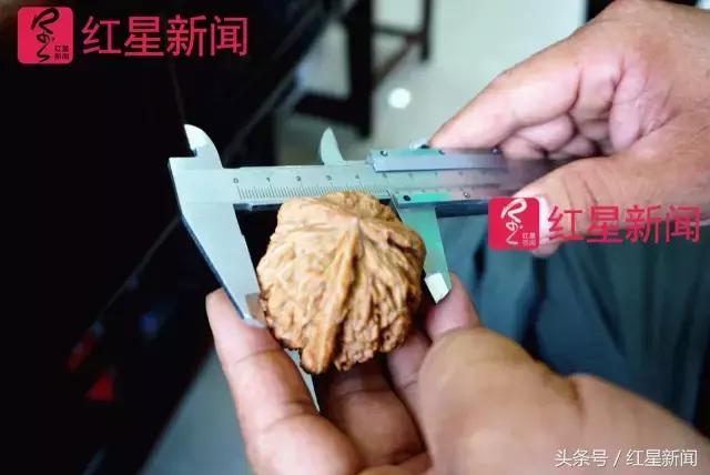 真相调查:文玩核桃再步玛卡后尘?从几万元一对到5元没人要?