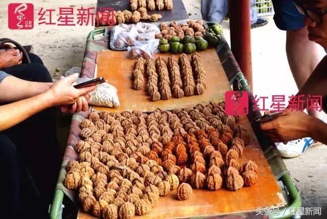 真相调查:文玩核桃再步玛卡后尘?从几万元一对到5元没人要?