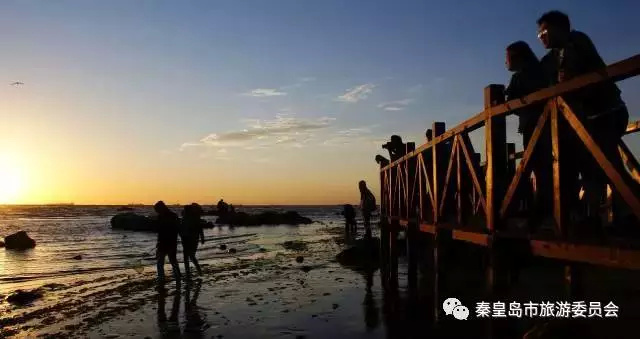 七夕如何秀恩爱搞笑,七夕秀恩爱高级