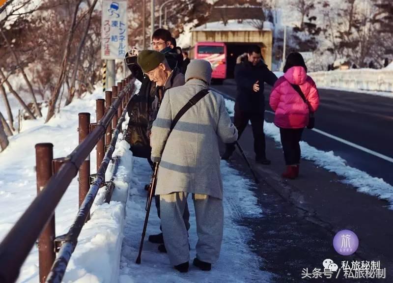 七夕节虐狗句子,七夕节花式虐狗我们不一样