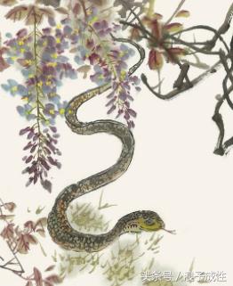 十二生肖文化国内外研究现状,十二生肖文化普及宣传央视