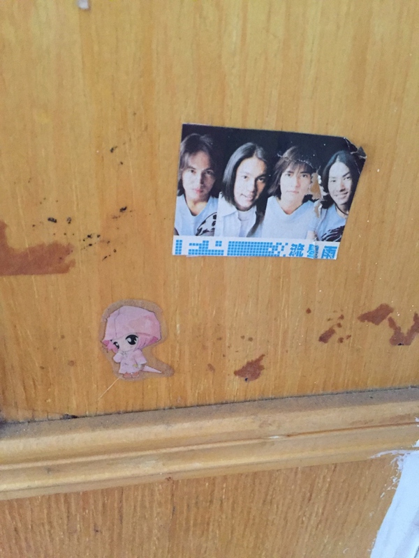 必须知道的家装真相,推荐几款最好看的家装