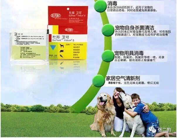 猫天生就不乱拉屎吗,猫天生就不吃鱼