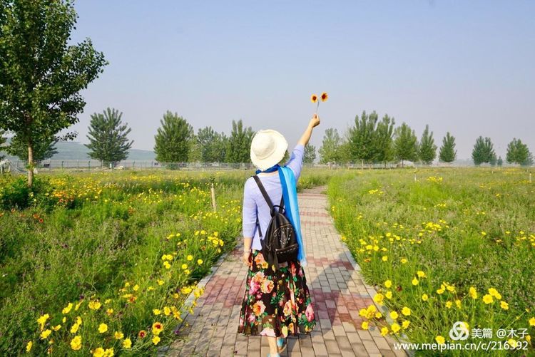 一花一叶总关情,一辆单车游古城,美哉正定!