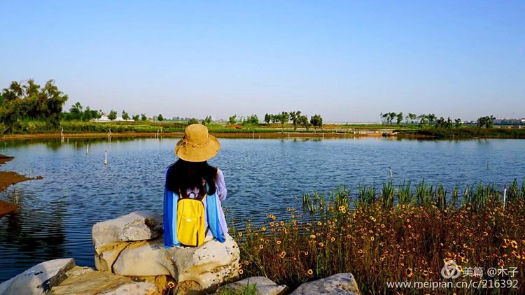 一花一叶总关情,一辆单车游古城,美哉正定!