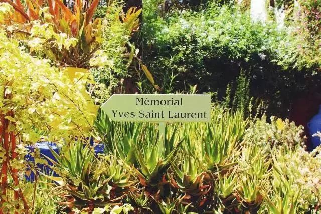 去旅游拍的风景照怎么发朋友圈,怎么给朋友圈的旅游照点评