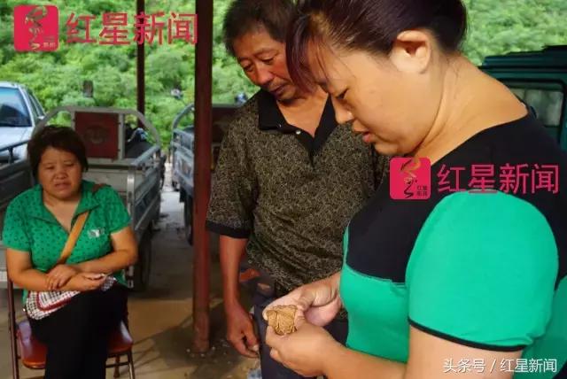 真相调查:文玩核桃再步玛卡后尘?从几万元一对到5元没人要?