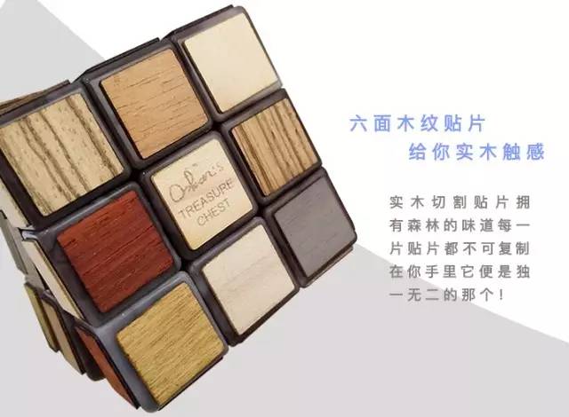 麦菲特带你体验一场原始森林的冒险！