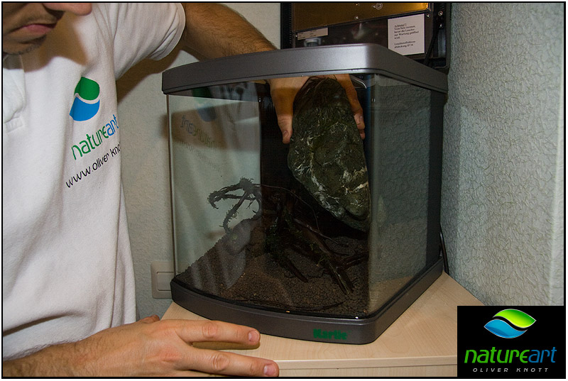 ada水草1.5米缸造景教程,oliverknott是什么