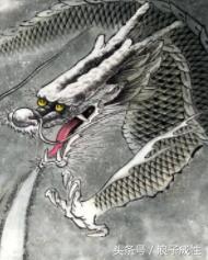 十二生肖文化国内外研究现状,十二生肖文化普及宣传央视