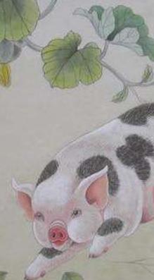 十二生肖文化国内外研究现状,十二生肖文化普及宣传央视