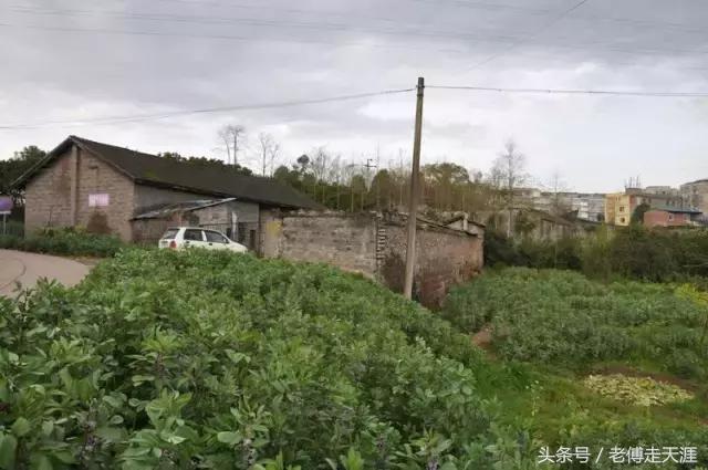 梁中与红中曾合校办学多年~两校原是亲生血缘关系