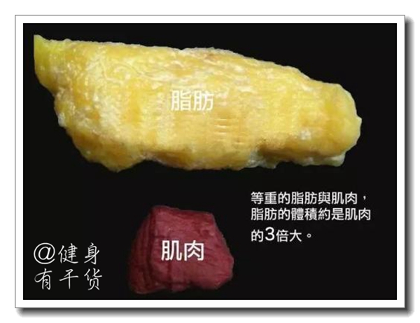 为减肥拼命,减肥千万不要盲目跑步和节食