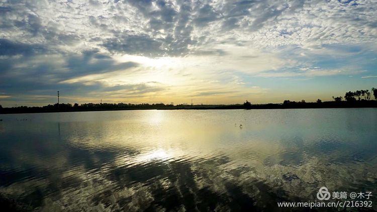 一花一叶总关情,一辆单车游古城,美哉正定!