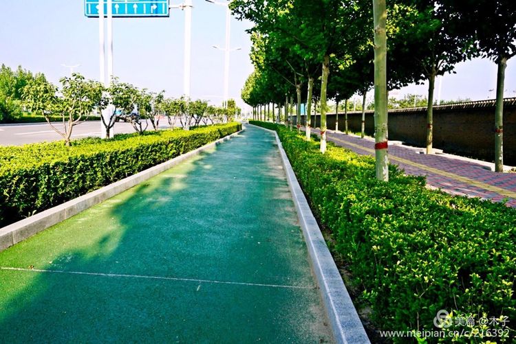 一花一叶总关情,一辆单车游古城,美哉正定!