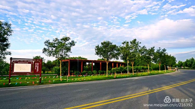 一花一叶总关情,一辆单车游古城,美哉正定!