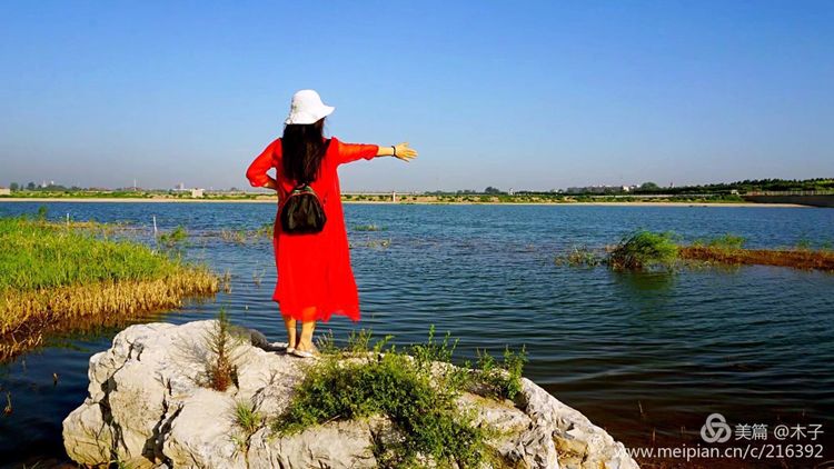 一花一叶总关情,一辆单车游古城,美哉正定!