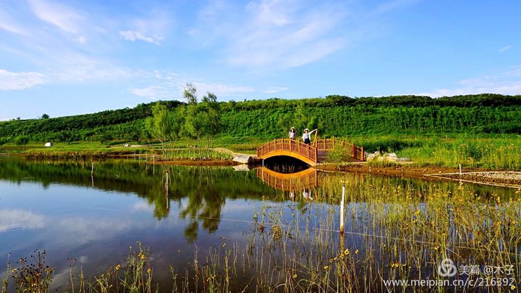 一花一叶总关情,一辆单车游古城,美哉正定!