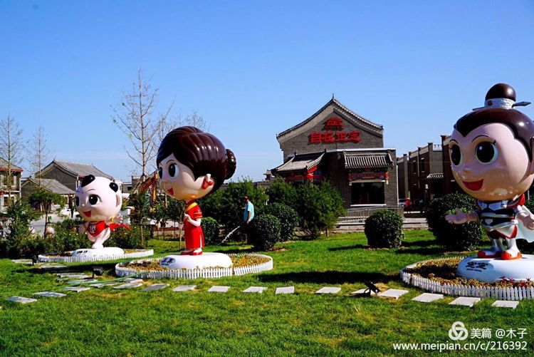 一花一叶总关情,一辆单车游古城,美哉正定!