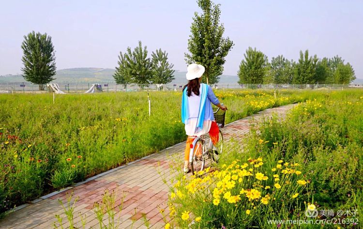 一花一叶总关情,一辆单车游古城,美哉正定!