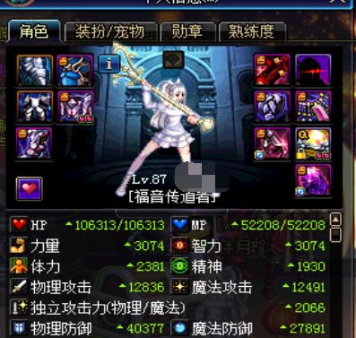 地下城与勇士女圣骑士能主c吗,地下城与勇士dnf女魔法师