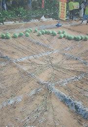 爱美有风险,贴膜需谨慎