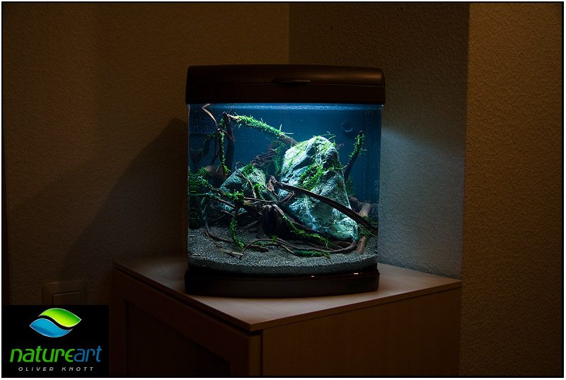 ada水草1.5米缸造景教程,oliverknott是什么