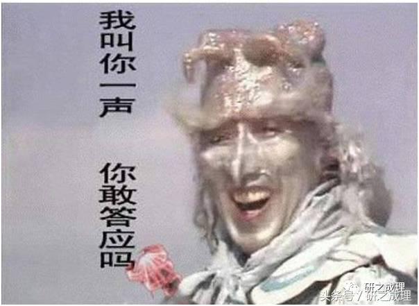 论文学语言的特征,学术论文的语言特点与写作风格