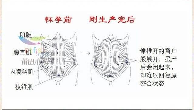 产后如何瘦身最快最有效,产后如何瘦身和下奶