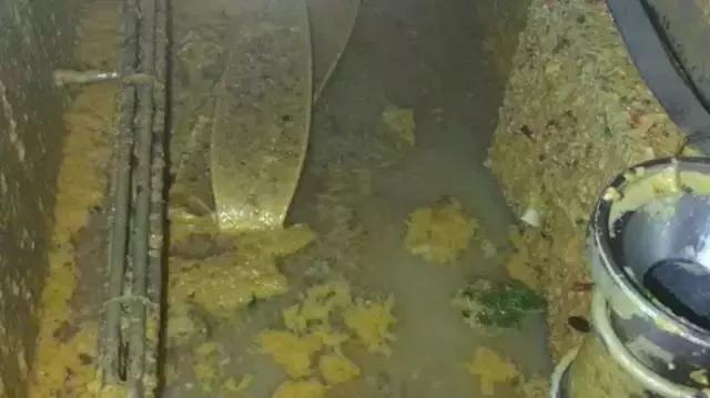 17年海底捞老鼠事件处理结果,海底捞老鼠门危机公关