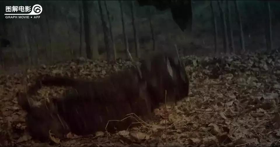 无心法师第一部免费版合集,无心法师第1部