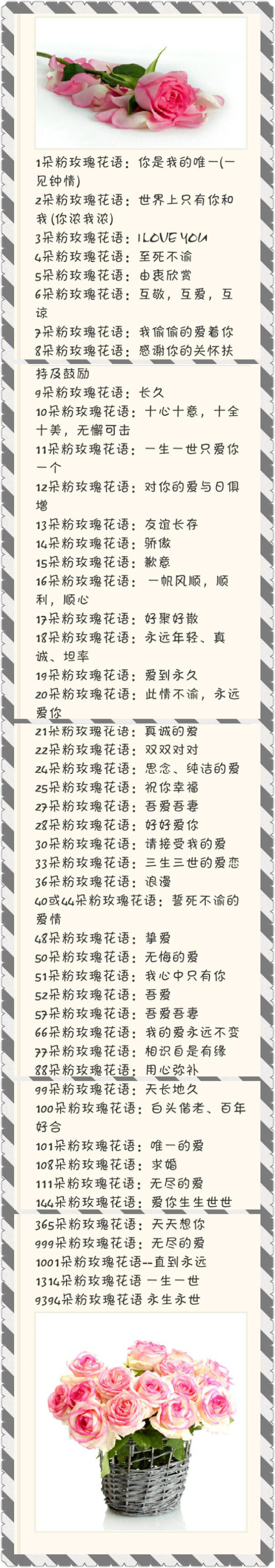 玫瑰花29支的花语,送花给女生玫瑰花语