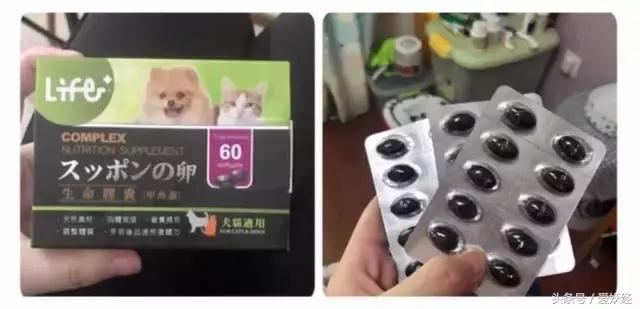 Todayis七夕，这盆狗粮爱妖经替你验过，放心吃吧