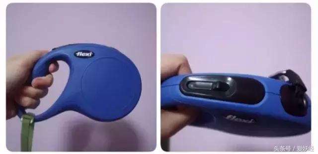 Todayis七夕，这盆狗粮爱妖经替你验过，放心吃吧