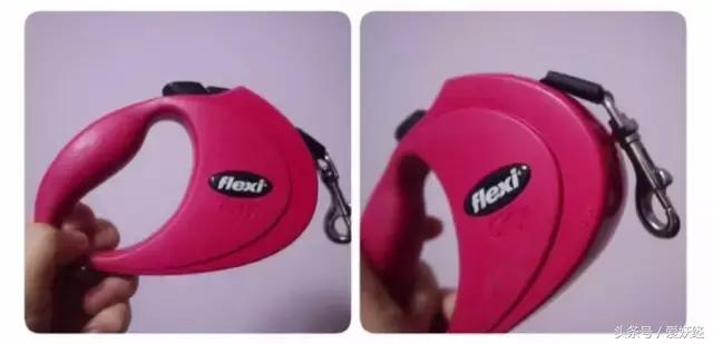 Todayis七夕，这盆狗粮爱妖经替你验过，放心吃吧