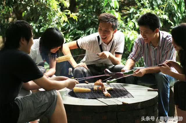 青铜峡大青葡萄采摘节,青铜峡大青葡萄