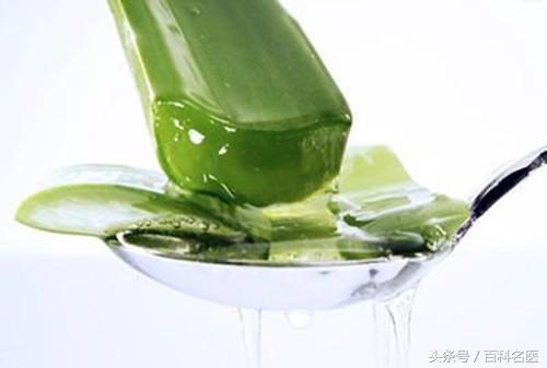 都不知道的芦荟妙用,芦荟的用途和好处快来看一看