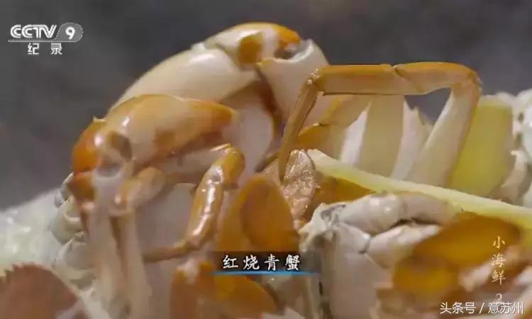 舌尖上的中国之麻辣小海鲜,舌尖上的中国小海鲜