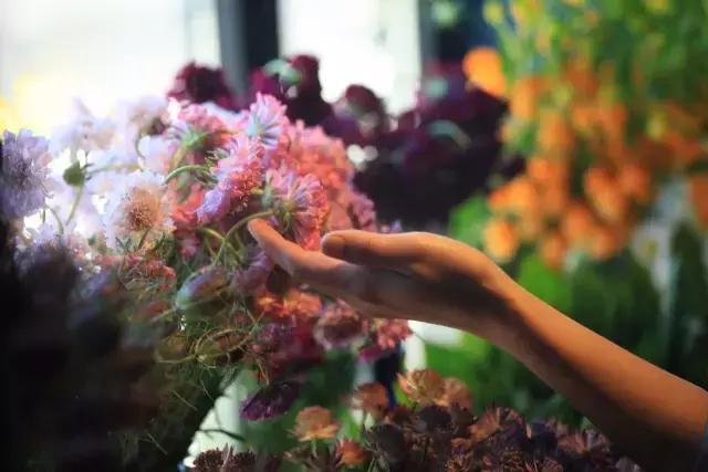 七夕节叫你送花你就去拿吧,微信公众号送花怎么弄