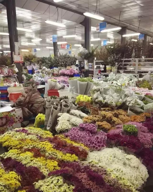 七夕节叫你送花你就去拿吧,微信公众号送花怎么弄