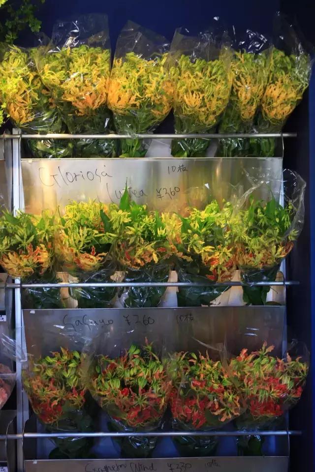 七夕节叫你送花你就去拿吧,微信公众号送花怎么弄