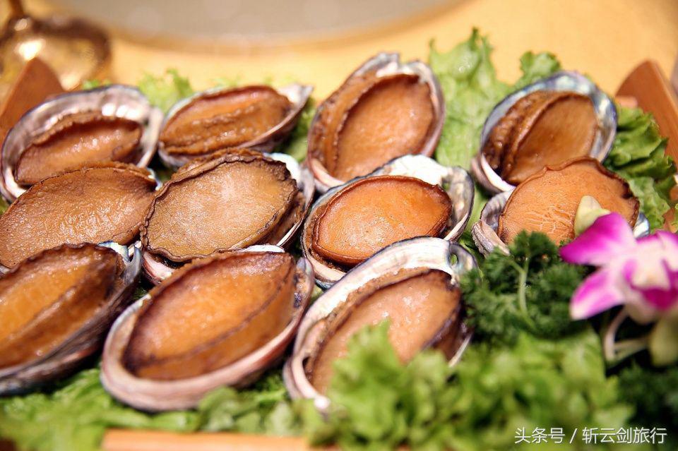 荣成烟墩角天鹅拍摄机位,世界最大天鹅