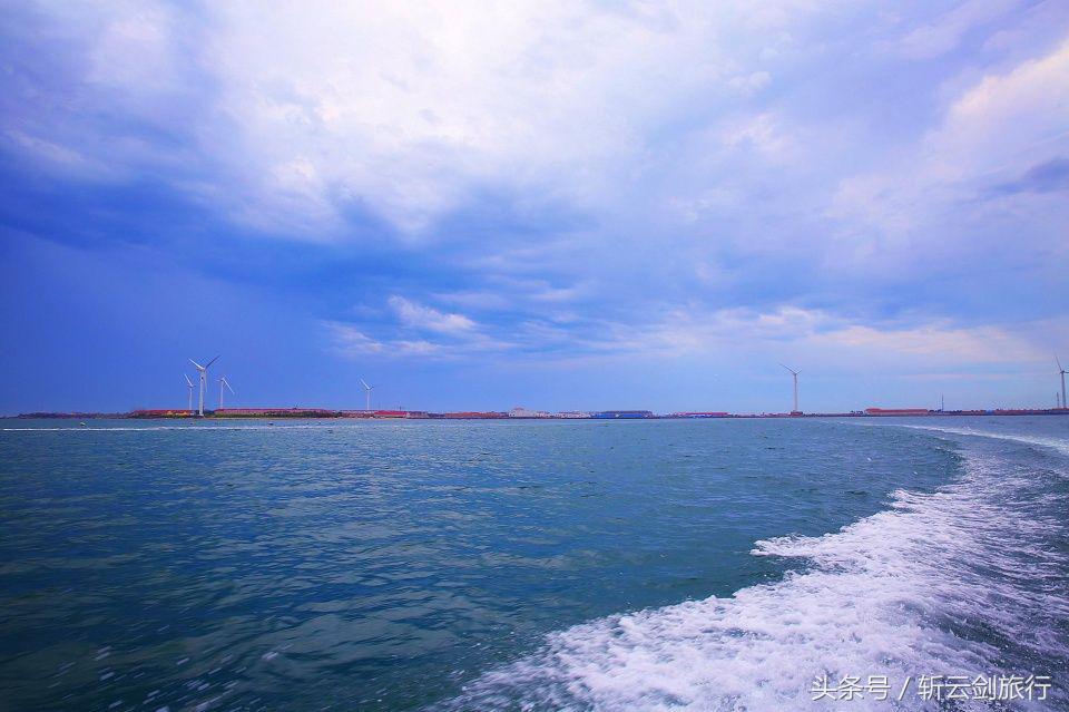 荣成烟墩角天鹅拍摄机位,世界最大天鹅