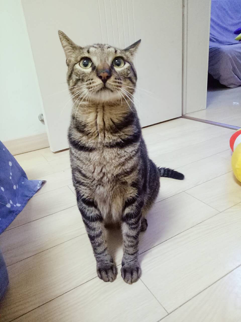 毕业狗月入3000究竟如何在无锡过活?包租婆网上租房指南