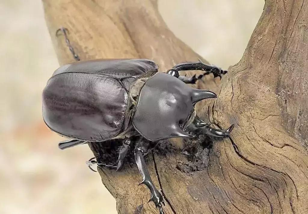 开学前最后一次狂欢,开学前最后一期视频