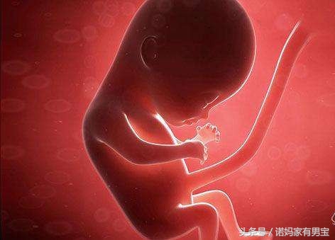 激素导致睾丸发育不良能治不,睾丸