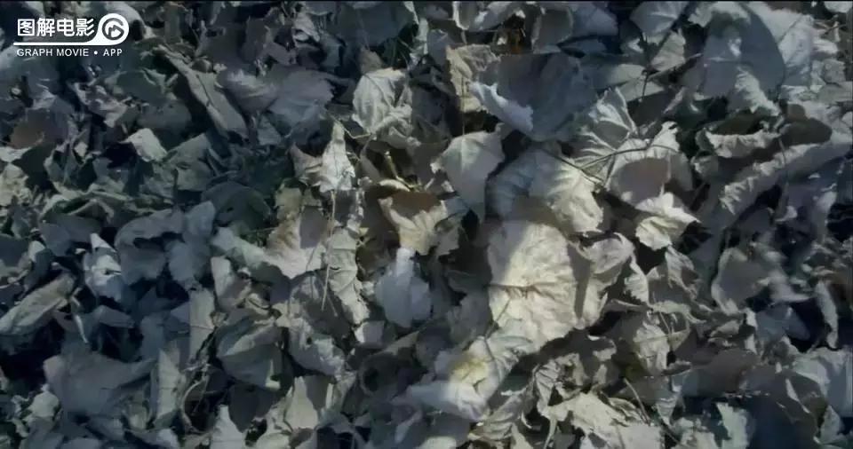 无心法师第一部免费版合集,无心法师第1部