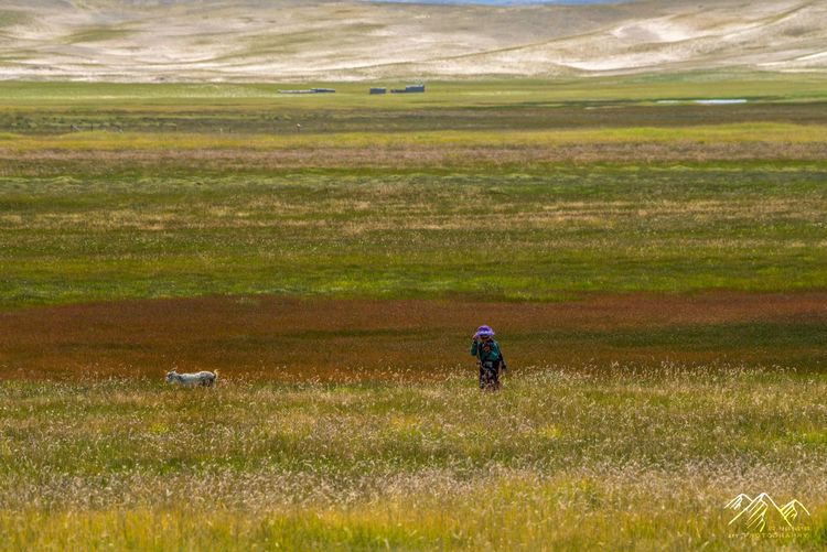 在最美的时光遇见你散文,在最美的时光遇见最美的你