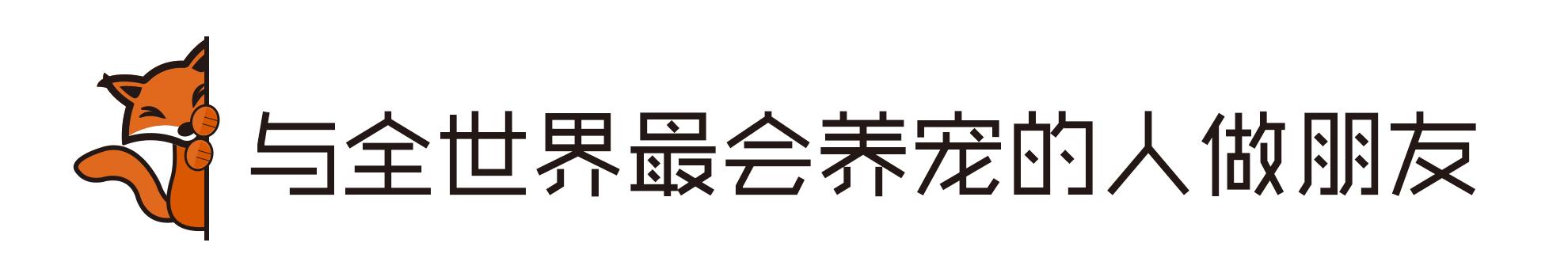 Todayis七夕，这盆狗粮爱妖经替你验过，放心吃吧