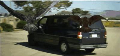 有的电影你嘴里说恨,身体却欲罢不能